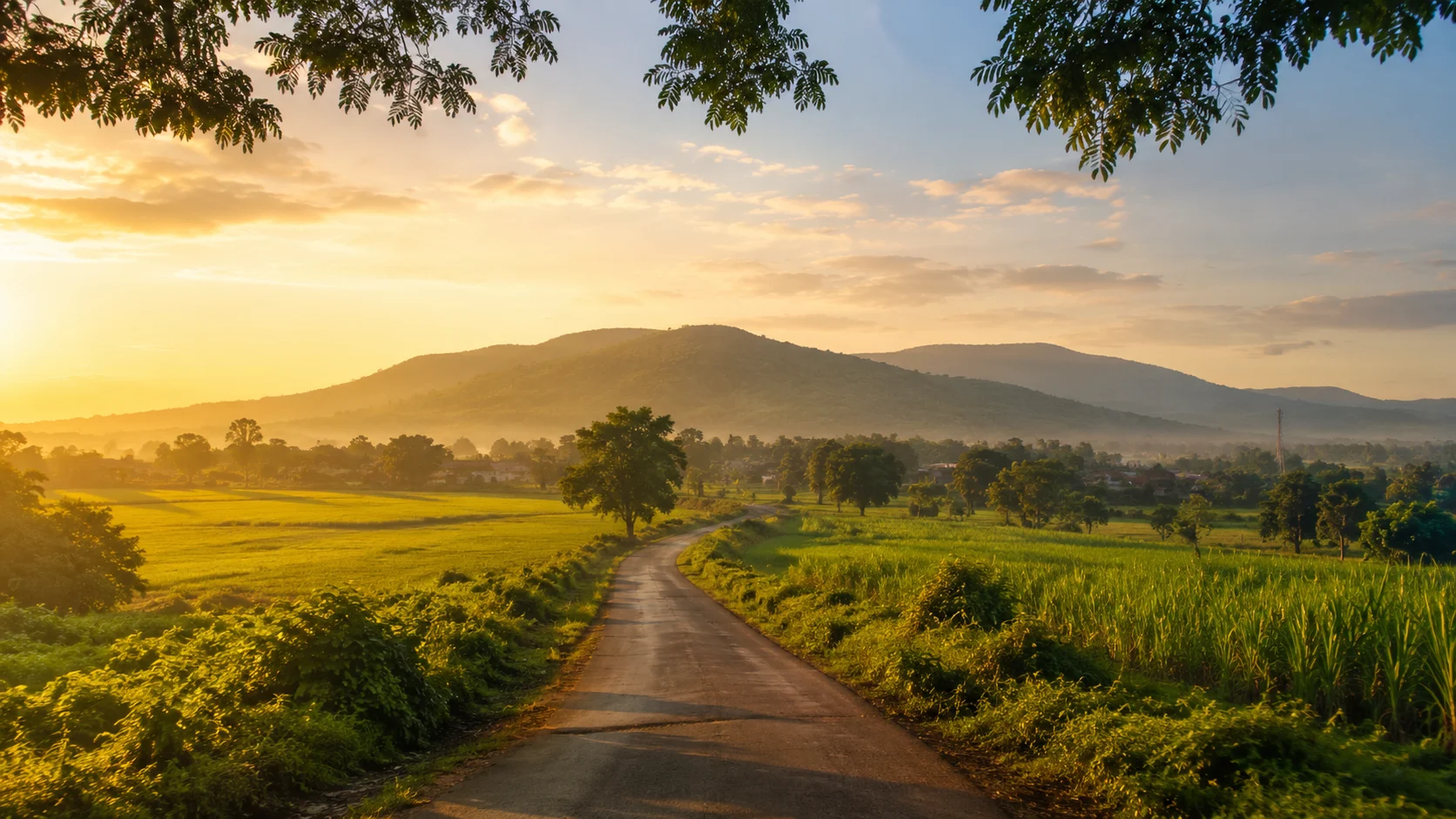 Palghar landscape in Maharashtra